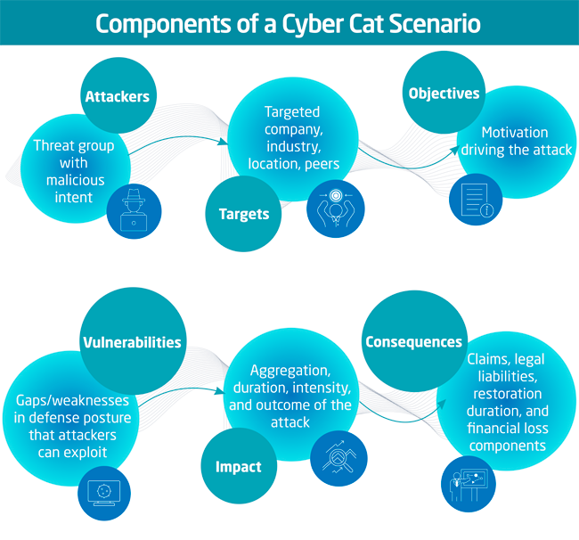 Components of a cyber cat scenario
