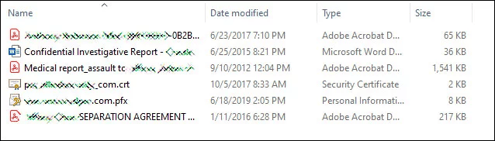 Partially redacted screenshot of alleged leaked files.