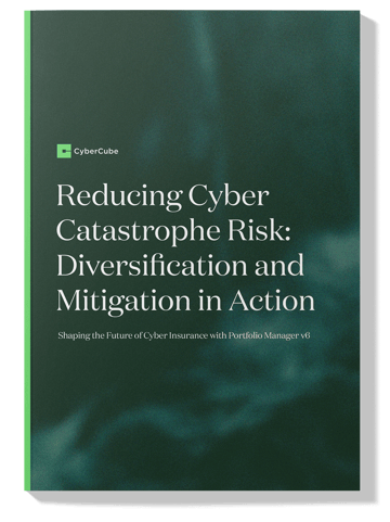 Reducing Cyber Catastrophe Risk PMv6v no border