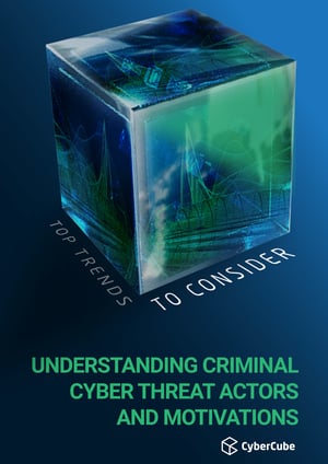 Understanding criminal cyber threat actors and motivations_Page_01