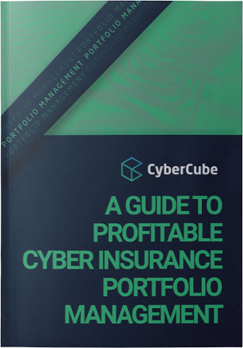 A Guide to Profitable Cyber Insurance Portfolio Management