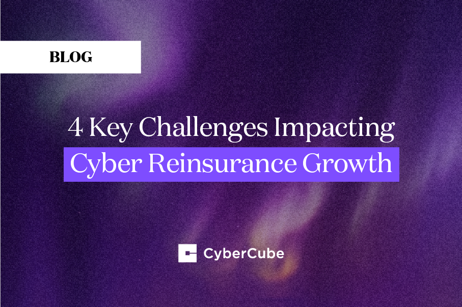 challenges reinsurance
