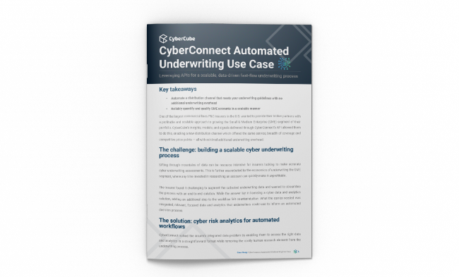 CyberConnect Use Case - Cover top - OPTIMISED