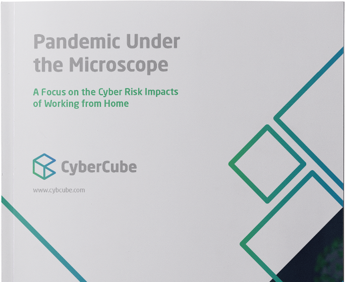 Pandemic Under the Microscope cover - landing pages (no border) template-1