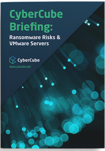 Ransomware Risks & VMware Servers Report_Thumbnail_3